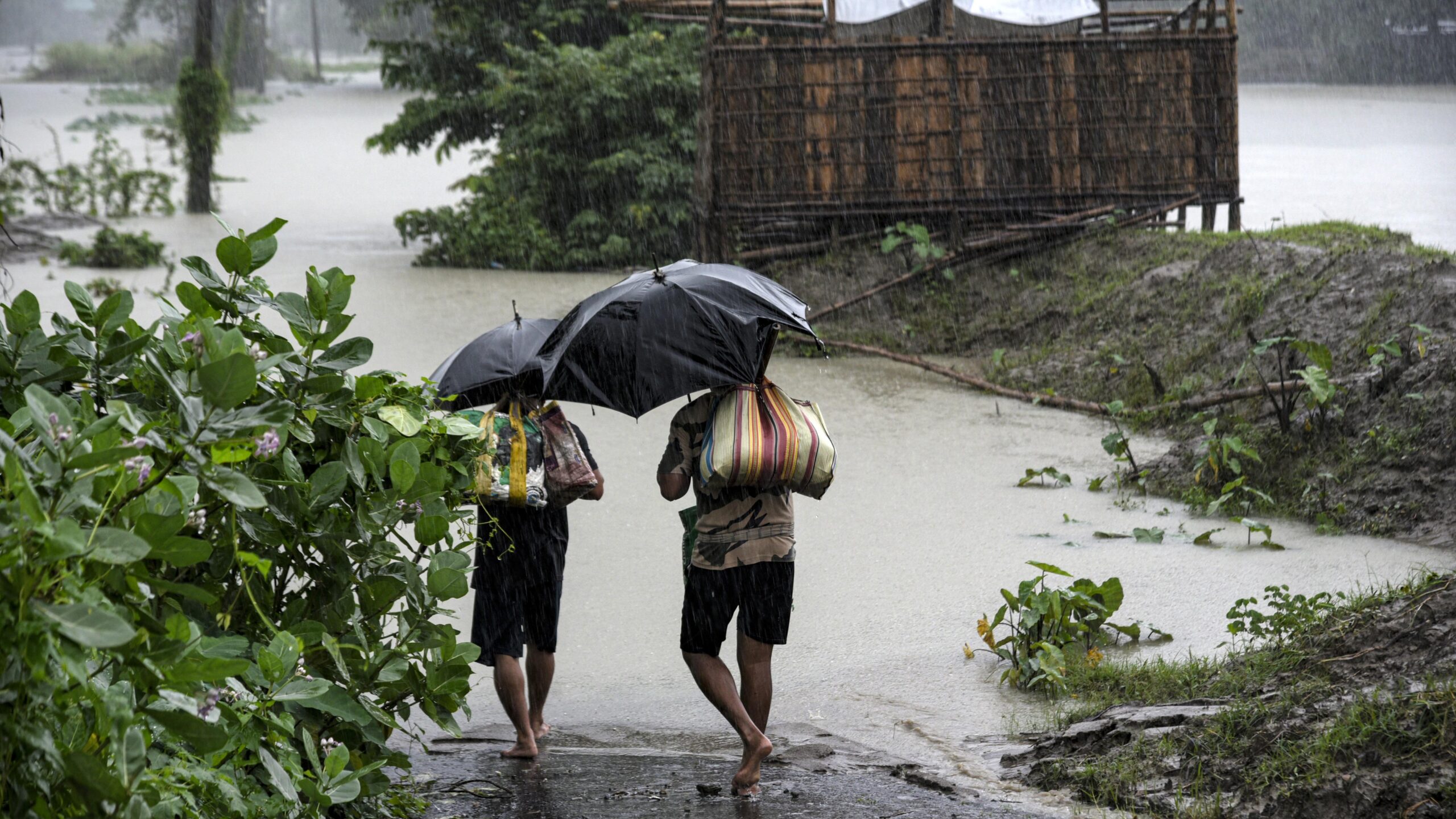 Hindistan’da son 24 saatte şiddetli yağışlar ve yıldırım düşmesi nedeniyle 36 kişi öldü