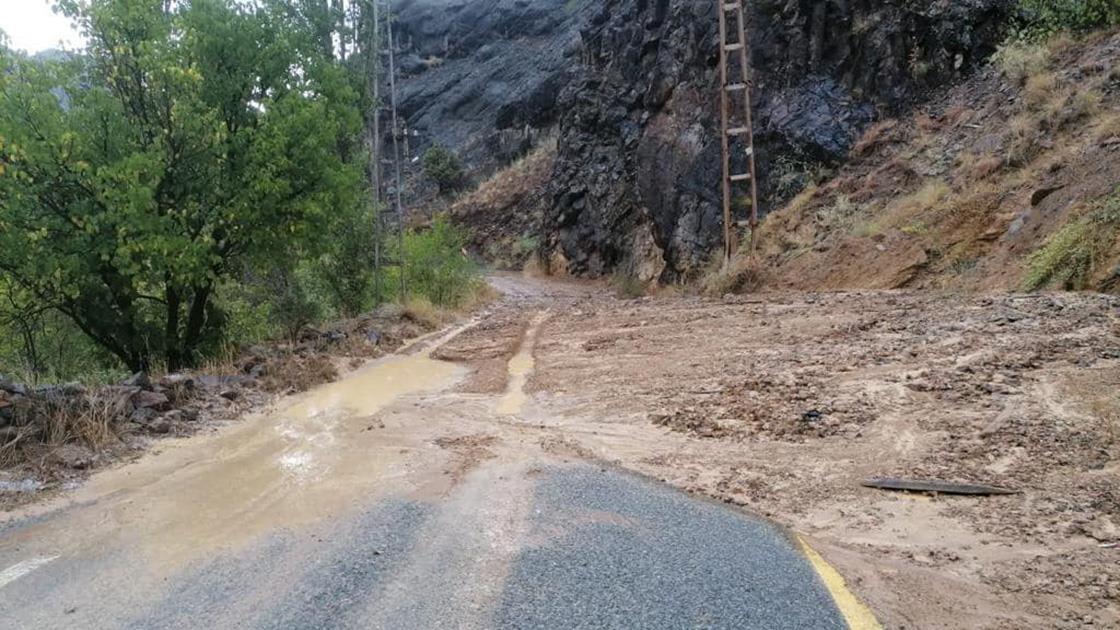 Artvin'de sağanak etkili oldu