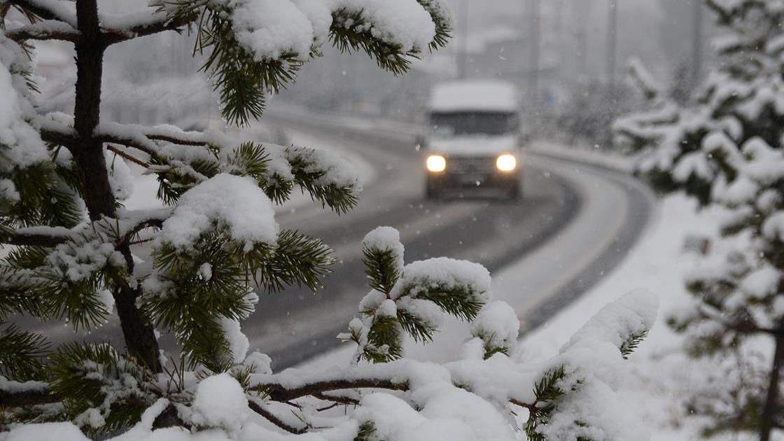 Kars, Tunceli ve Ardahan'da kar yağışı ve sis etkili oldu