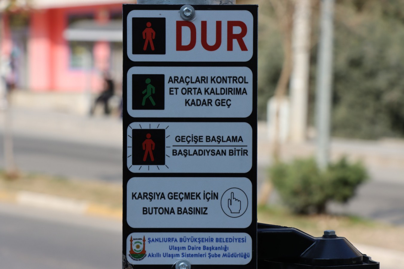 11378-95756-20230129033711