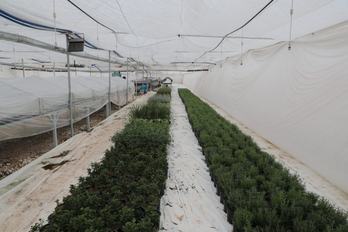 45584-58265-20230130010328