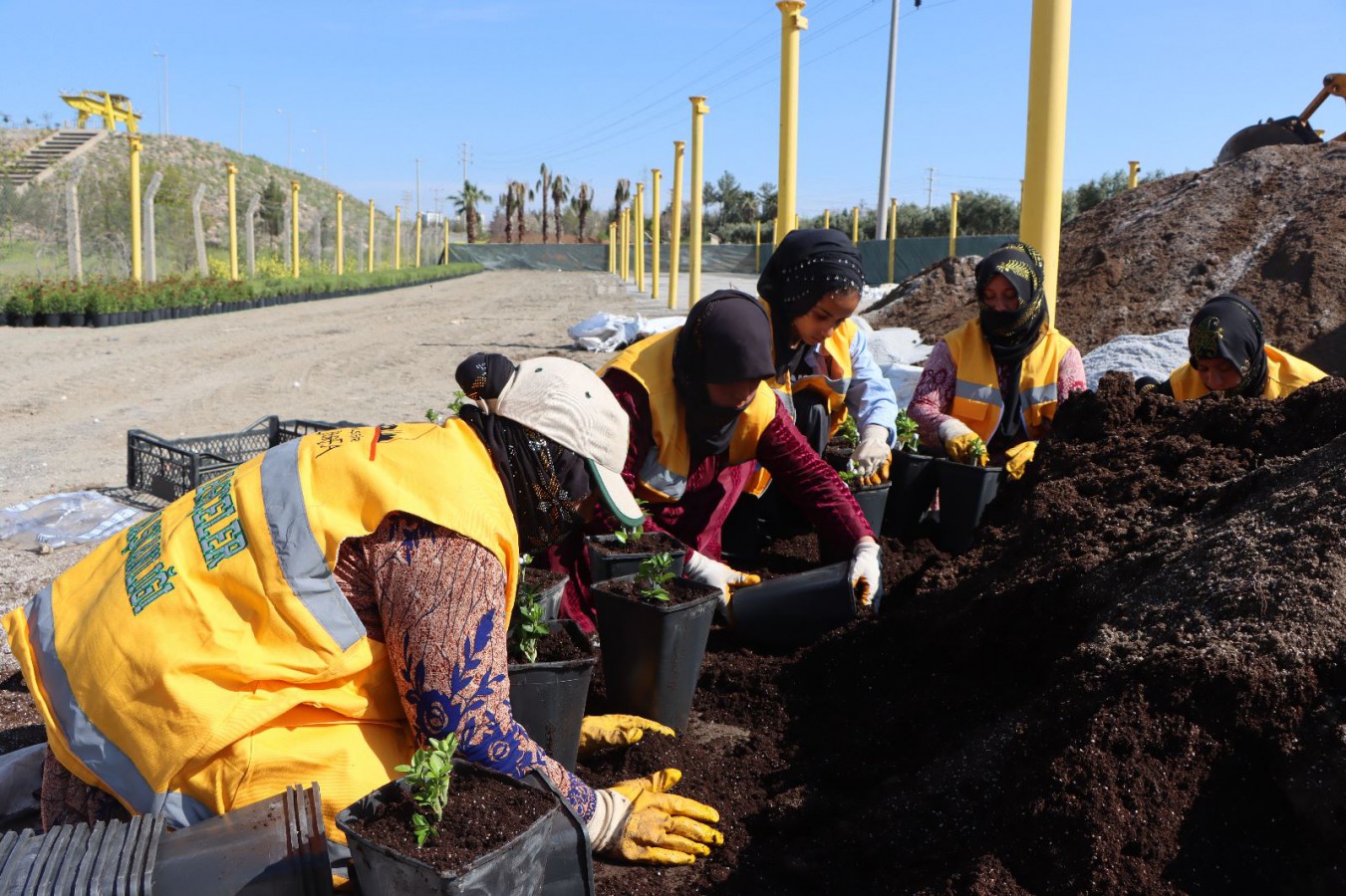 Büyükşehir Yılda 5 Milyondan Fazla Çiçek Üretiyor