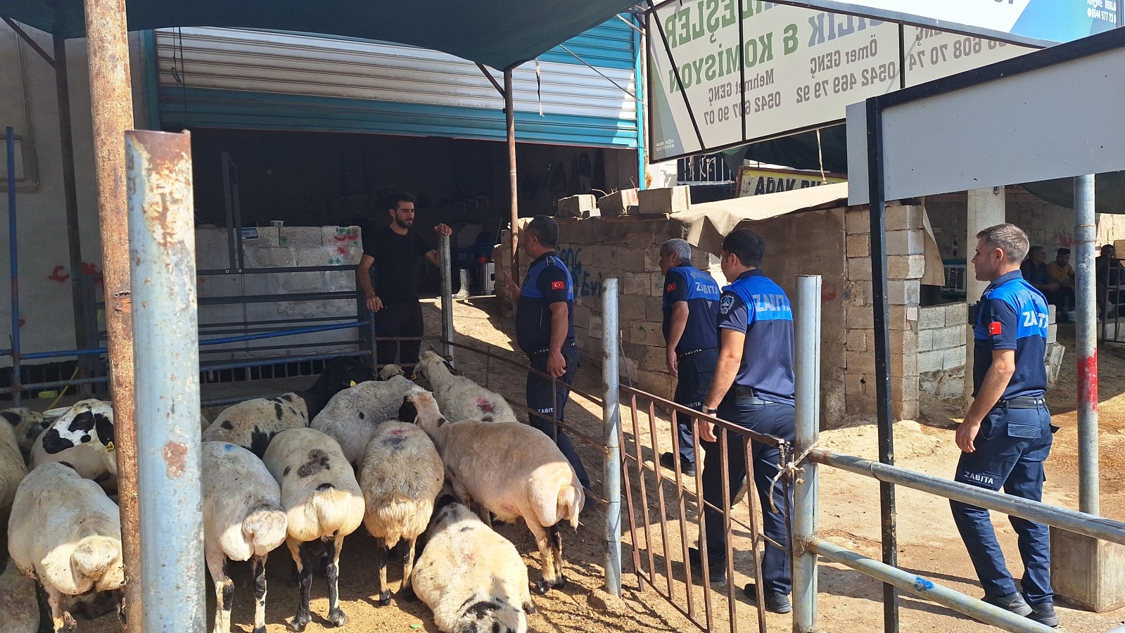 56090-20728-20230818102130