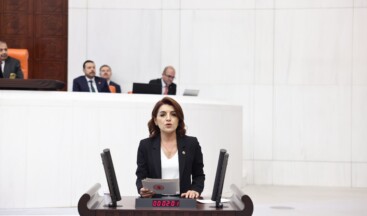 CHP Milletvekili Kış: Bakanlar, TBMM’nin iradesini yok sayıyor