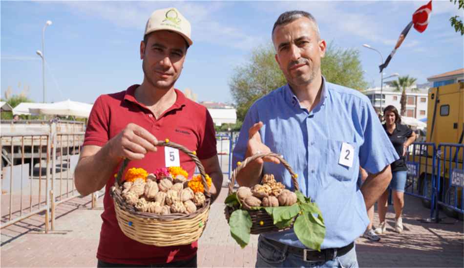 Store_f2e1d872-14a0-422d-8e4a-5c6fe727675b_1