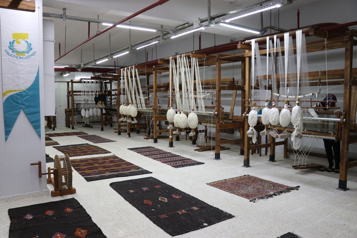 20231217132519-69376-35515