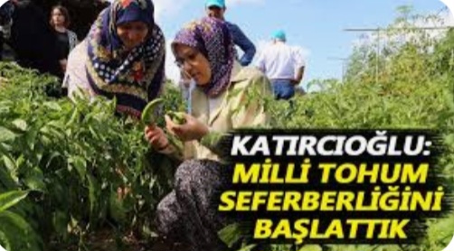 Kocaeli Milletvekili sn; Radiye Sezer Katırcıoğlu; ” Milli Tohum Seferberliğini Başlattık “