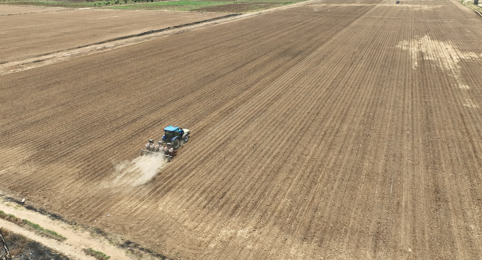 25172-93857-20240625032600