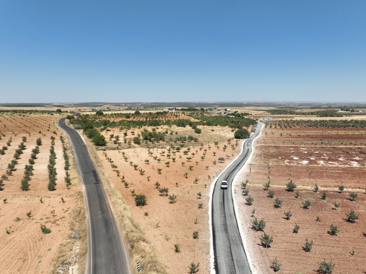 65613-21997-20240724124603