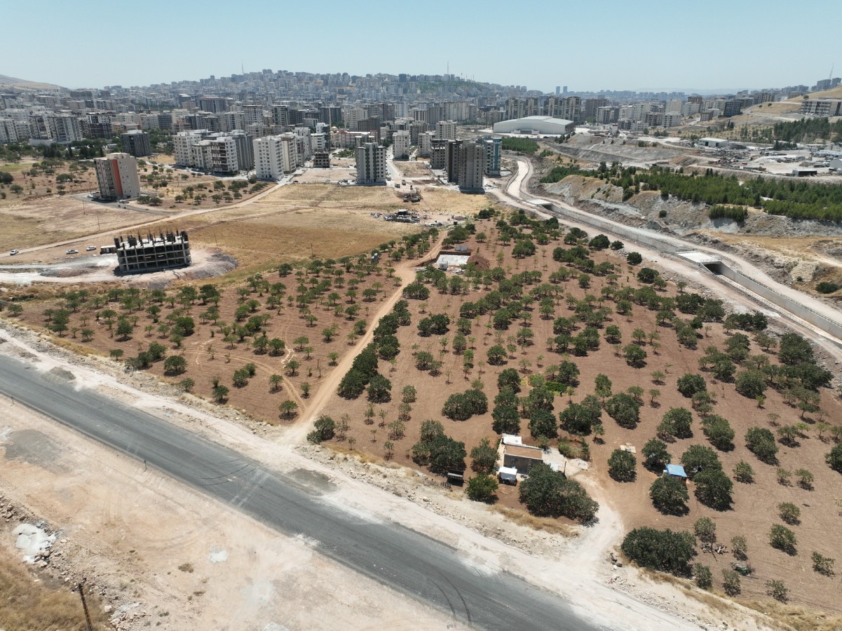 39530-72562-20240816014519