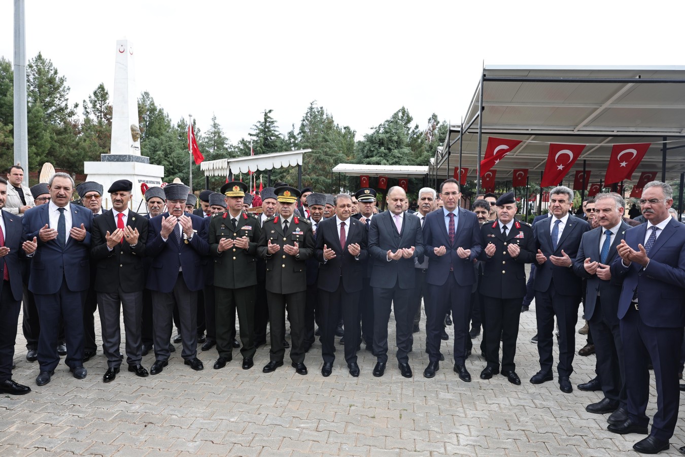 45523-43562-20250411021919