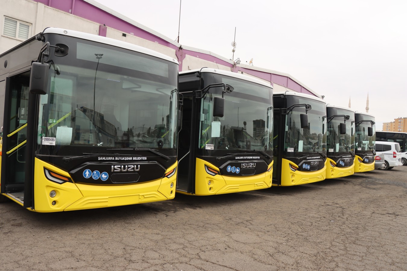 84214-92441-20250328015855