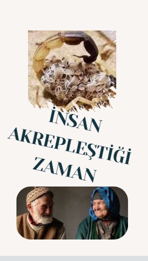 İNSAN AKREPLEŞTİĞİ ZAMAN  ?