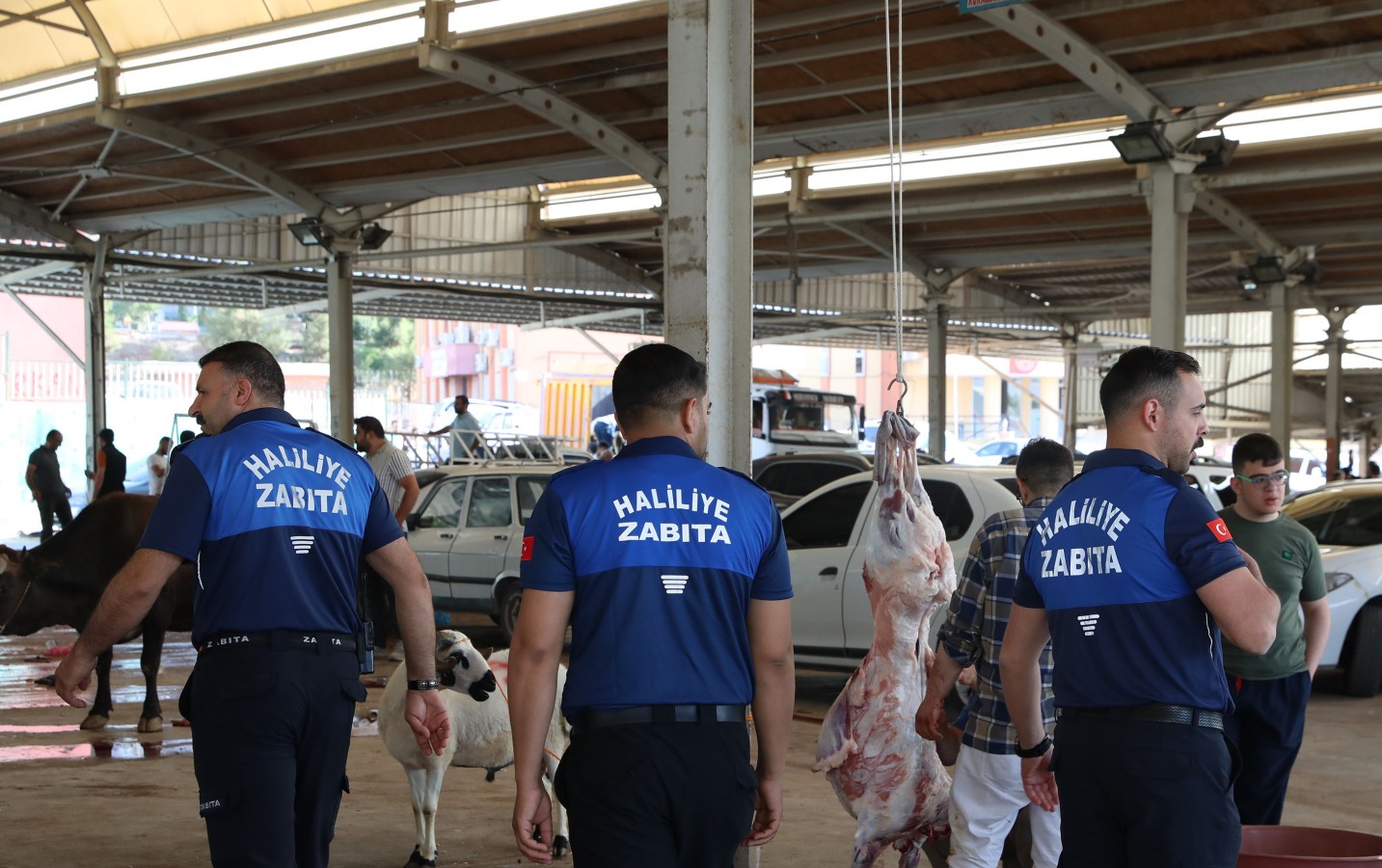 HALİLİYE BELEDİYESİ 662 PERSONELİYLE SAHADA