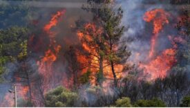 Eyyy Bre Hainlerrrr !!!