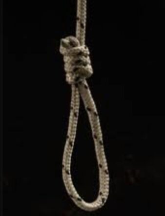 Screenshot_20250813_230208_Google