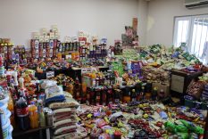 KURTLANMIŞ PİRİNÇLER, BOZULMUŞ PEYNİRLER ELE GEÇİRİLDİ