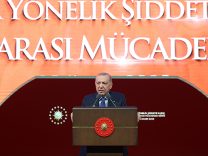 2025-11-25-KadinaYonelikSiddet