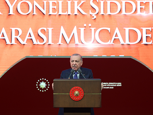 2025-11-25-KadinaYonelikSiddet