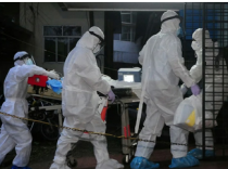 Nipah Virüsü Yeniden Gündemde: Asya Ülkeleri Sınır Önlemlerini Artırdı