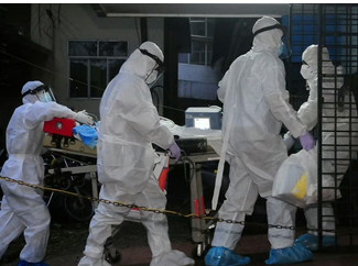 Nipah Virüsü Yeniden Gündemde: Asya Ülkeleri Sınır Önlemlerini Artırdı