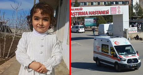 Sokak Köpeklerinin Saldırısına Uğrayan 4 Yaşındaki Nazlı Yoğun Bakımda