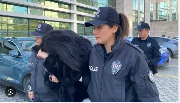 Polise Hakaret Videosu Paylaşan Şüpheli Cezaevine Gönderildi