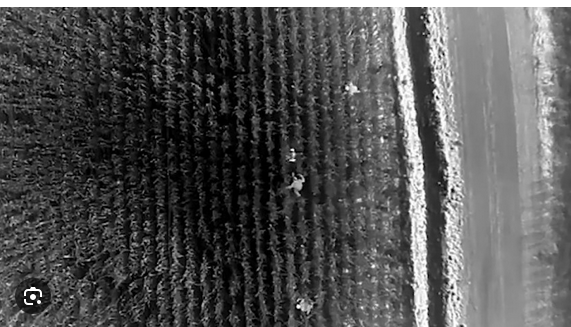 Bozova’daki Pusu Cinayetinde 5 Gözaltı: Şüpheliler Drone Destekli Operasyonla Yakalandı