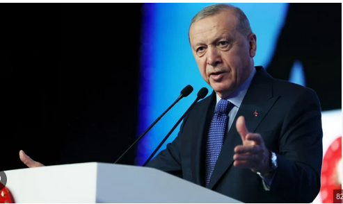 Diplomasi Mesajı Addis Ababa’dan: Erdoğan’dan Bölgesel İstikrar Vurgusu