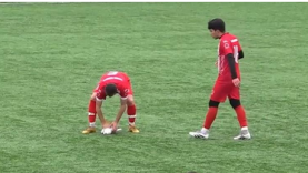 Maçta Topun Çarptığı Martı Kalp Masajıyla Hayata Döndü