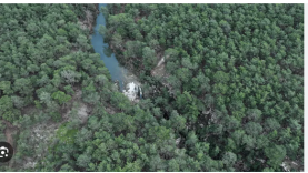 Yağışlar Güver Şelalesi’ni Coşturdu: Antalya’da Doğa Yeniden Nefes Aldı