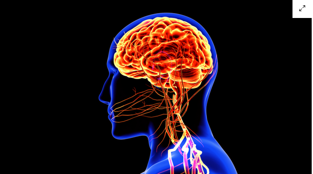 Migrenin Sırrı Çözülüyor: Beyin Işığı “Ağrı” Gibi Algılıyor