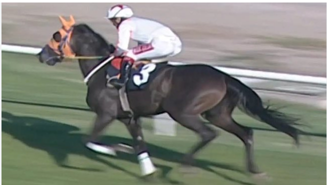 Sakatlanan yarış atı “Smart Latch” iddiası: Aşevi kavurmasında at eti tartışması